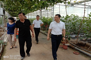 平度市副市长罗毅一行到访农业公司进行参观调研