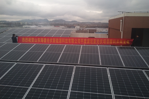 平度波尼亚食品有限公司屋顶分布式光伏发电项目