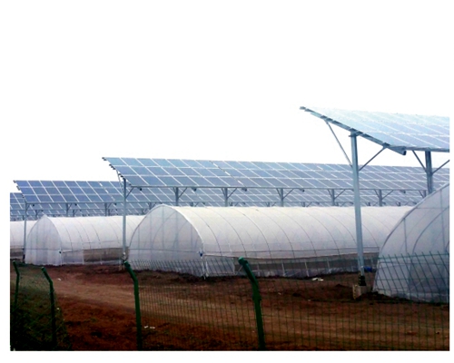 Qingdao Jimo Photovoltaic Town 200MW Photovoltaic Agriculture Project