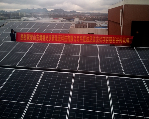 Qingdao Bernia Company Roof Photovoltaic Power Generation Project